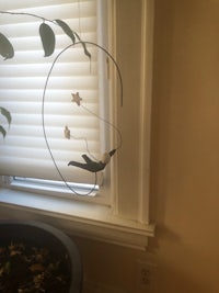 a hummingbird hanging from a plant in front of a window